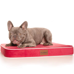 PlushMat! Plus - Thermal & Therapeutic - Orthopaedic Dog Bed