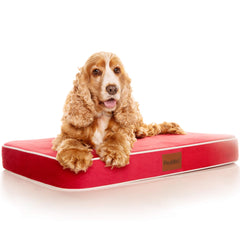 PlushMat! Plus - Thermal & Therapeutic - Orthopaedic Dog Bed