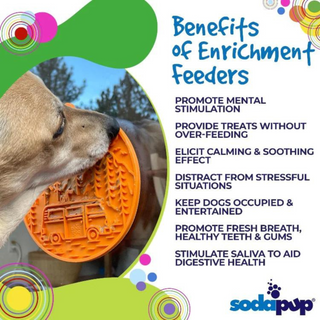 Camp eMat Enrichment Lick Mat