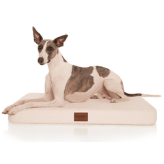 PlushMat! Plus - Thermal & Therapeutic - Orthopaedic Dog Bed