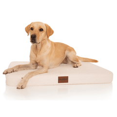 PlushMat! Plus - Thermal & Therapeutic - Orthopaedic Dog Bed