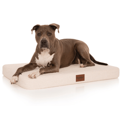 PlushMat! Plus - Thermal & Therapeutic - Orthopaedic Dog Bed