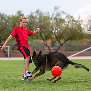 Jolly Soccer Ball