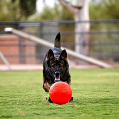 Jolly Soccer Ball