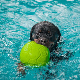 Jolly Soccer Ball