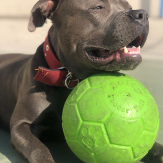 Jolly Soccer Ball