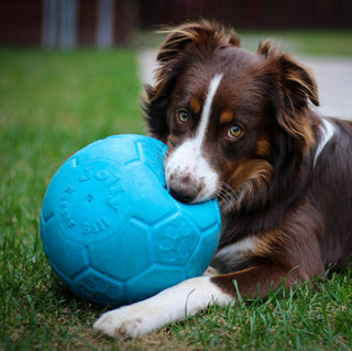 Jolly Soccer Ball