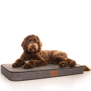 PlushMat! Orthopaedic Dog Bed