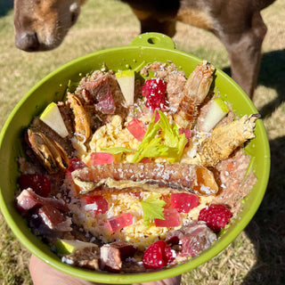 Garden of Eatin' Tipsy Bowl Lick Mat