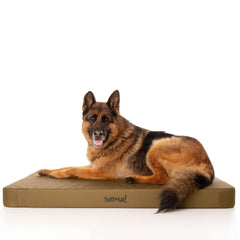 TuffMat! Orthopaedic Dog Bed