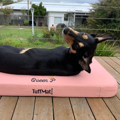 TuffMat! Orthopaedic Dog Bed