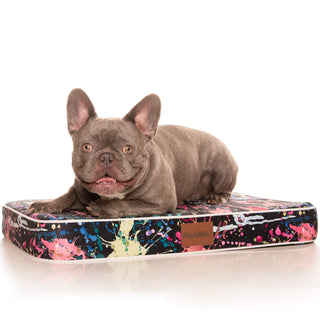 PlushMat! Plus - Thermal & Therapeutic - Orthopaedic Dog Bed