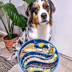 Wave eBowl Slow Feeder For Dogs