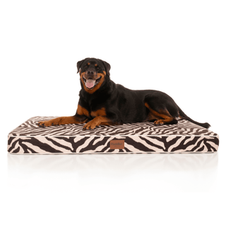 PlushMat! Orthopaedic Dog Bed