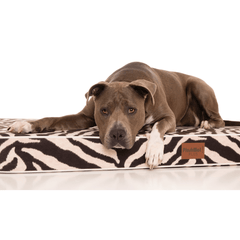 PlushMat! Plus - Thermal & Therapeutic - Orthopaedic Dog Bed