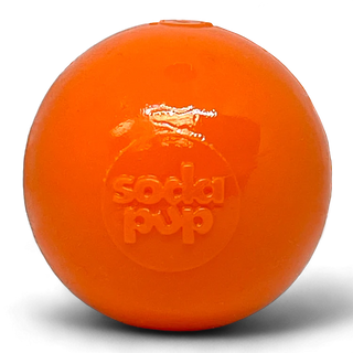 Squeak Ball (Chew & Retrieval Toy)