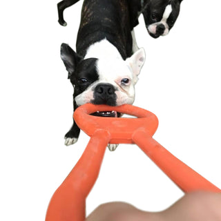 Tug the Day away with the Can Opener Tug Toy from Sodapup