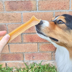 Bone Marrow Chews - Healthy Chews For Dogs