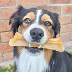 Bone Marrow Chews - Healthy Chews For Dogs