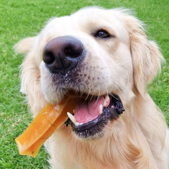 Bone Marrow Chews - Healthy Chews For Dogs