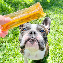 Bone Marrow Chews - Healthy Chews For Dogs