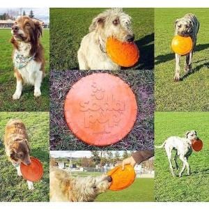 Flying Frisbee Dog Toy