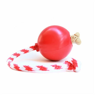 CHERRY BOMB - Rover Pet Products