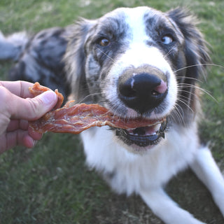 Roast Chicken Dinner - Chicken Breast Jerky