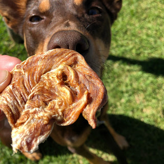 Roast Chicken Dinner - Chicken Breast Jerky