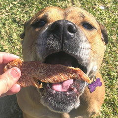 Roast Chicken Dinner - Chicken Breast Jerky