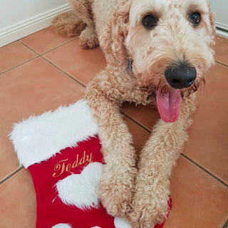 Christmas Stocking