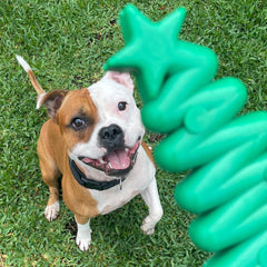 Buy Nylon Christmas Tree From Sodapup Dog Toys