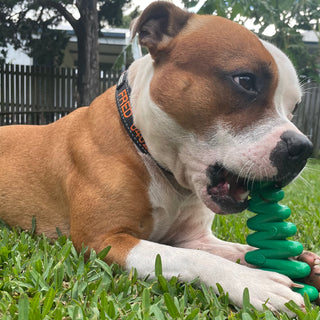 Buy Nylon Christmas Tree Chew Toy from Sodapup Dog Toys