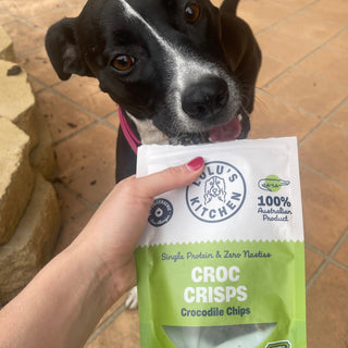 Croc Crisps - Crocodile Chips