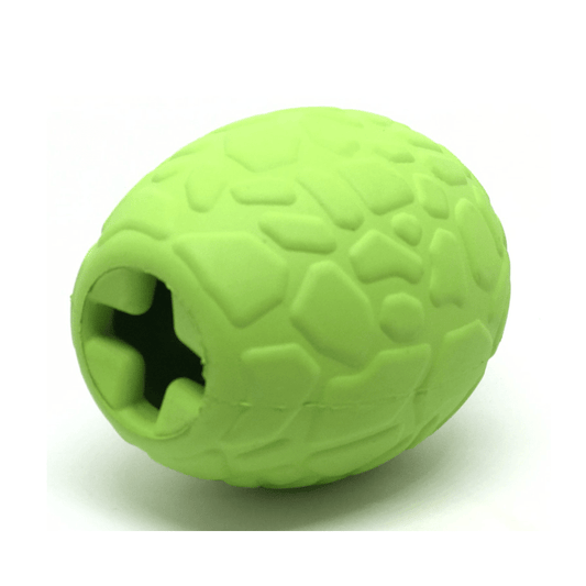 Dino Egg Enrichment Chew Toy from Rover Pet Products