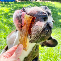 Bone Marrow Chews - Healthy Chews For Dogs