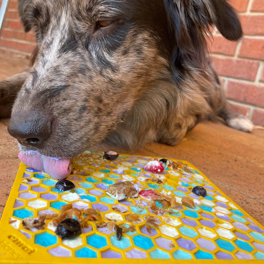 Honeycomb eMat (Large) Enrichment Lick Mat