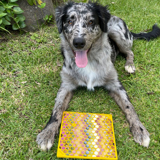 Honeycomb eMat (Large) Enrichment Lick Mat