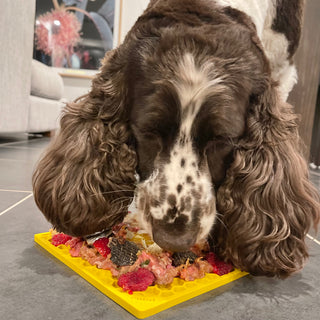 Honeycomb eMat (Large) Enrichment Lick Mat