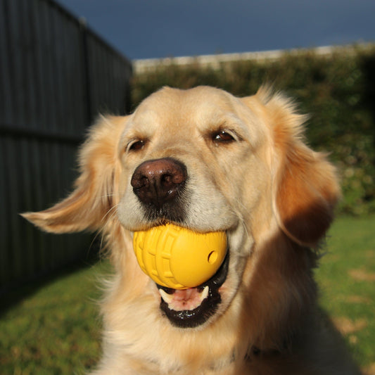 Industrial Dog Ball (Power Chewers)