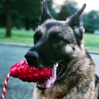 Reward Grenade Chew, fetch and reward toy from Rover Pet Products. Afterpay available