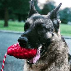 Reward Grenade Chew, fetch and reward toy from Rover Pet Products. Afterpay available