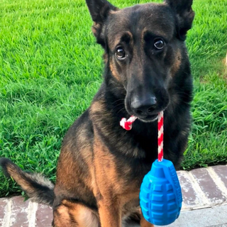 Reward Grenade Chew Toy from Rover Pet Products