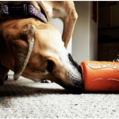 Strong, natural, durable chew and treat dispensing toys!