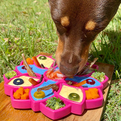 Mandala eTray Slowfeeder eTray