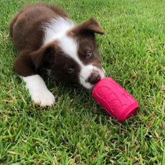 Puppy Can Toy - for soft gums and teething puppies.