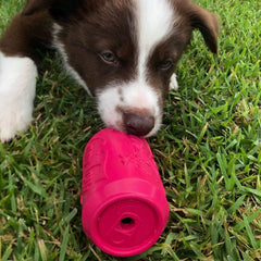 Puppy Can Toy - for soft gums and teething puppies.