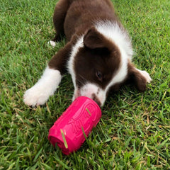 Puppy Can Toy - for soft gums and teething puppies.