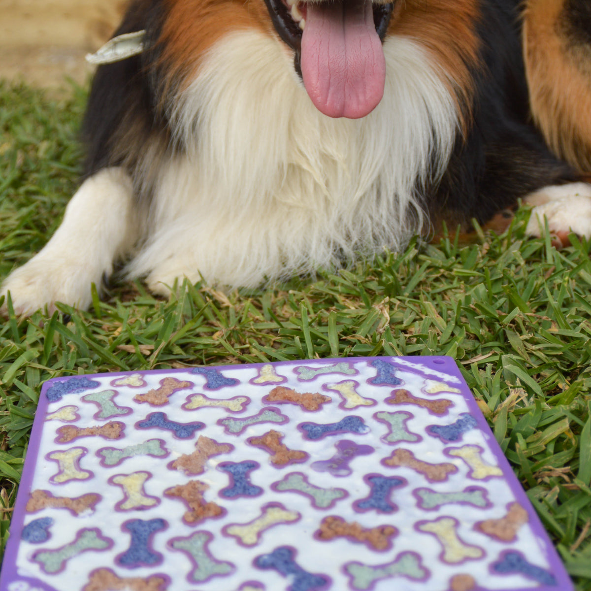 Bones Design Emat Enrichment Lick Mat Purple