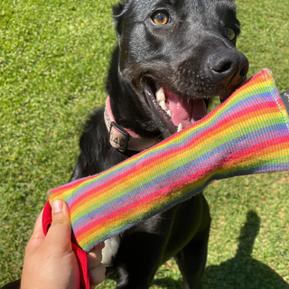 Rainbow Tug Firehose